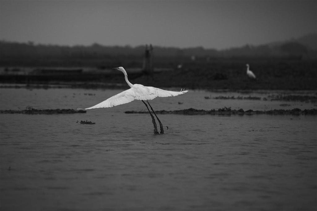 Swaraj Resorts Bharatpur Esterno foto